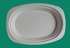 Bagasse Plate OP096