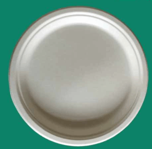 Bagasse Plate YP010