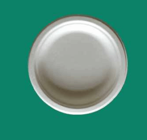 Bagasse Plate YP060