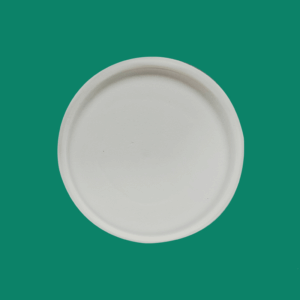 Bagasse Plate YP080