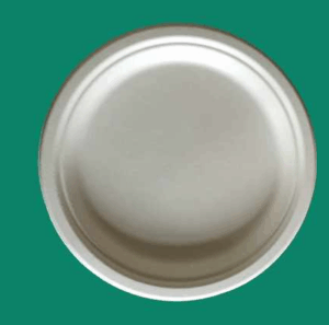 Bagasse Plate YP090
