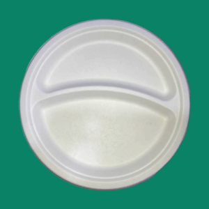 Bagasse Plate YP092