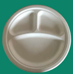 Bagasse Plate YP093