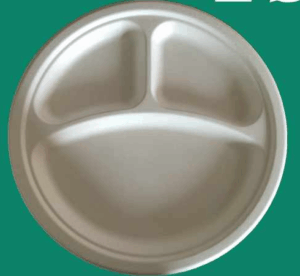 Bagasse Plate YP103