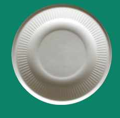 Bagasse Plate YPL060