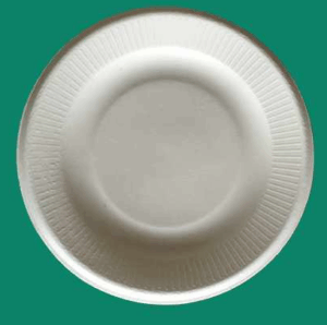 Bagasse Plate YPL070