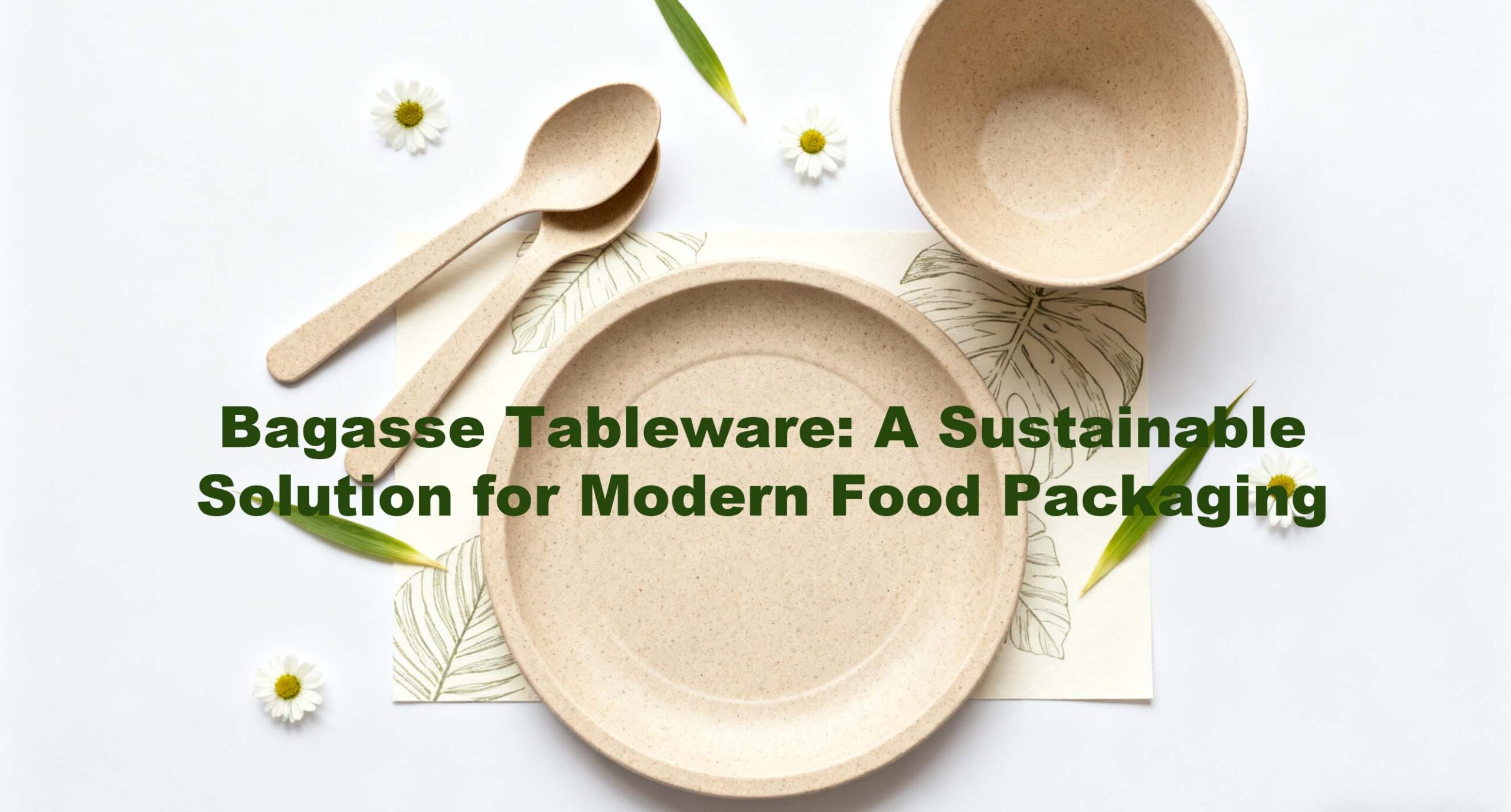 Bagasse Tableware A Sustainable Solution for Modern Food Packaging