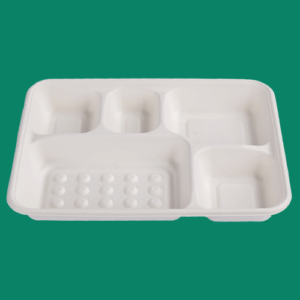 Bagasse Take Out Box FT052