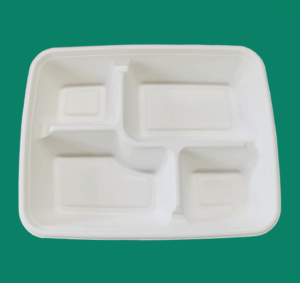 Bagasse Take Out Box FTD041