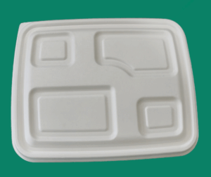 Bagasse Take Out Box FTL041
