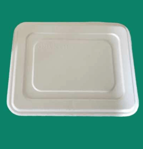 Bagasse Take Out Box FTL053