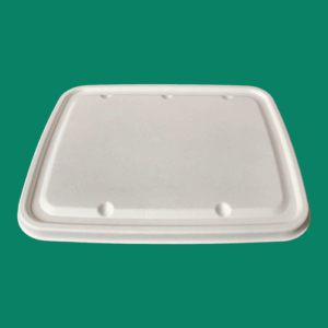 Bagasse Take Out Box FTL061
