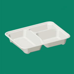 Bagasse Take Out Box HNFT031
