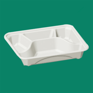 Bagasse Take Out Box HNFT041