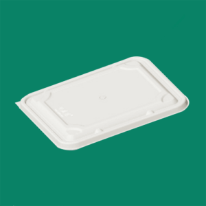 Bagasse Take Out Box HNFTL-01
