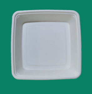 Bagasse Take Out Box SC91