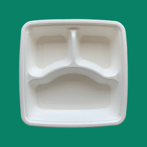Bagasse Take Out Box SC93