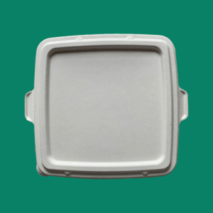 Bagasse Take Out Box SCLID