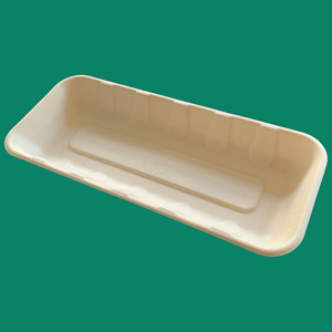 Bagasse Tray 104