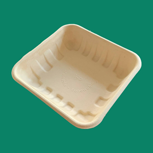 Bagasse Tray 14D