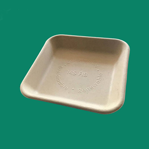 Bagasse Tray 14S