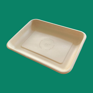 Bagasse Tray 2D