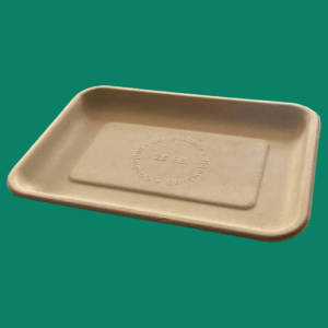 Bagasse Tray 2S