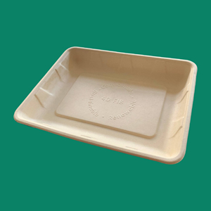 Bagasse Tray 4D