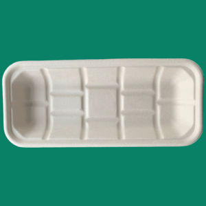 Bagasse Tray TR104