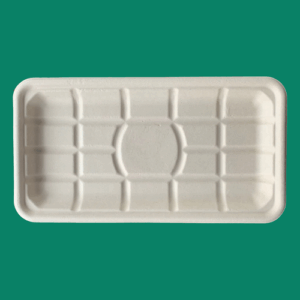 Bagasse Tray TR10S