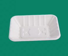 Bagasse Tray TR170