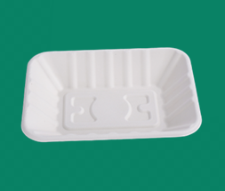 Bagasse Tray TR176