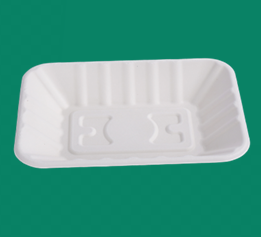Bagasse Tray TR220