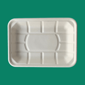 Bagasse Tray TR2D