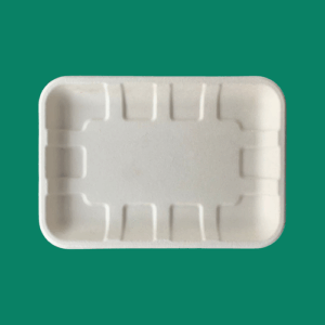 Bagasse Tray TR2S