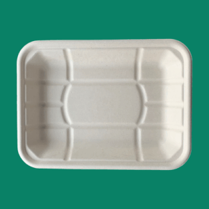 Bagasse Tray TR4D