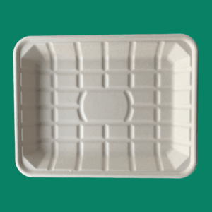 Bagasse Tray TR9P