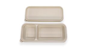 Biodegradable 37 Compartment Box