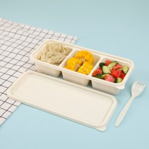 Biodegradable Salad Box