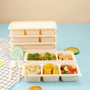 Biodegradable Salad Box2