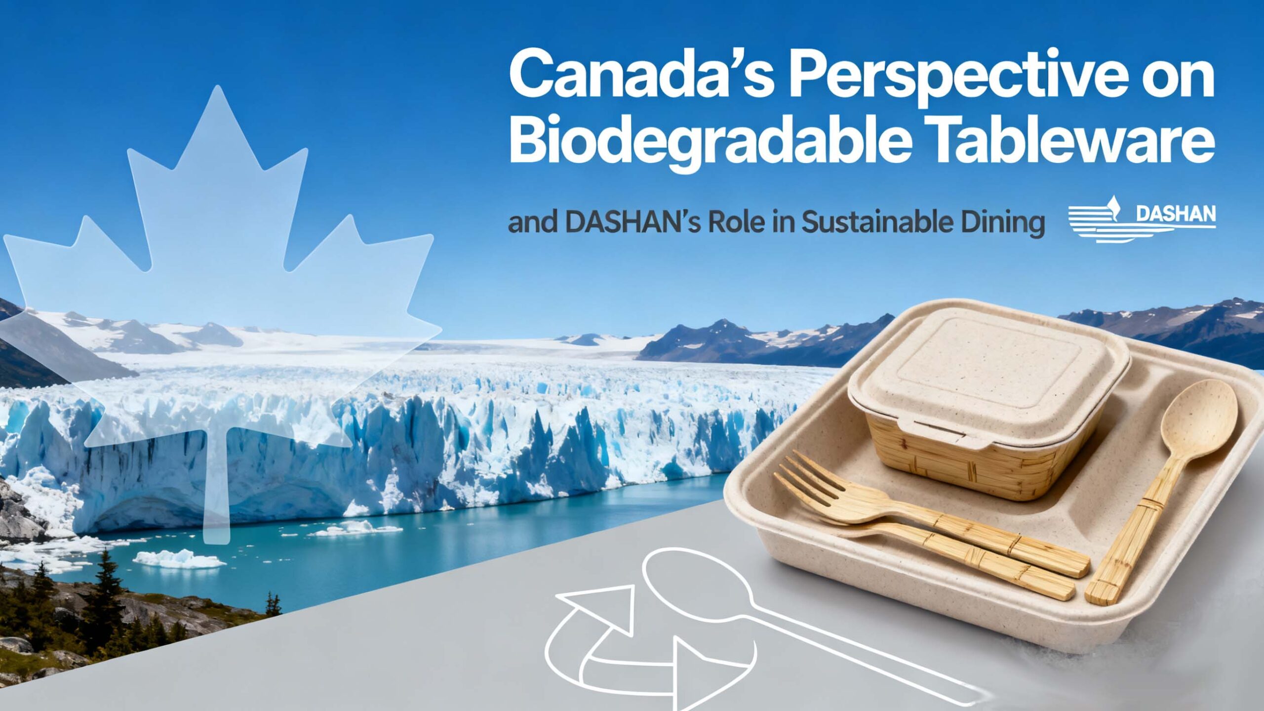 Canada’s Perspective on Biodegradable Tableware and DASHAN’s Role in Sustainable Dining