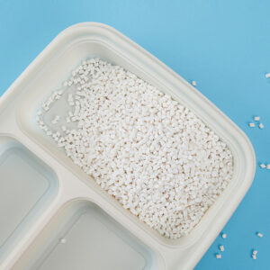 Compostable lunch tray