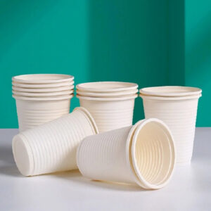 compostable tableware
