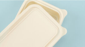 Cornstarch Salad Box1