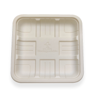 Cornstarch Tray&Plate TP-140