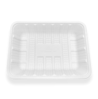 Cornstarch Tray&Plate TP-240