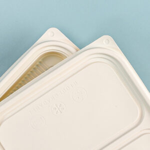 Cornstarch lunch tray