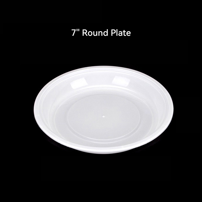 Disposable Dinner Plate