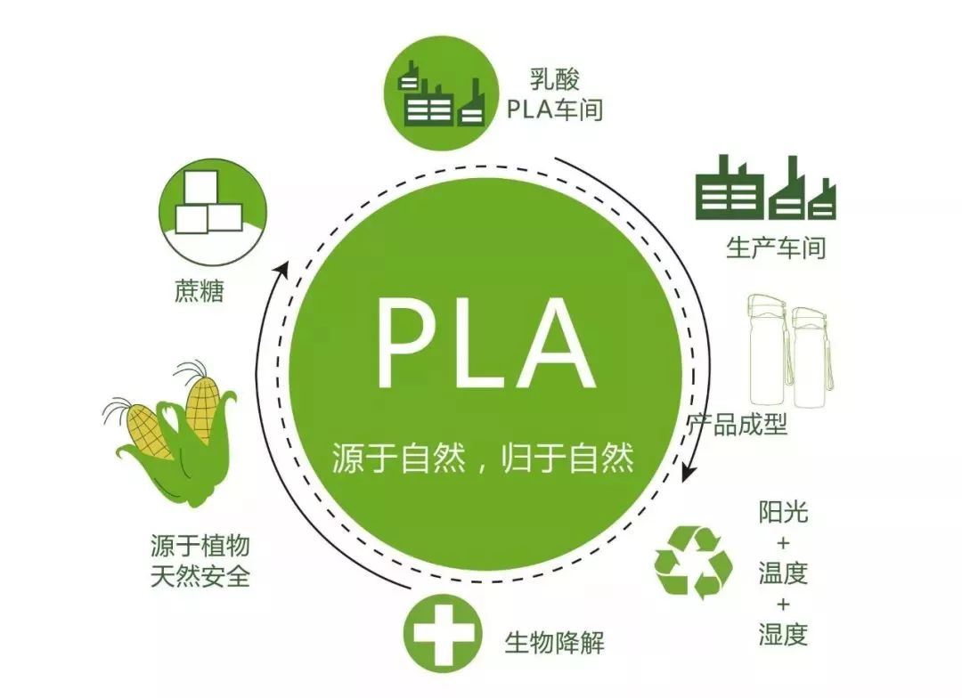 PLA CUP