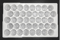 PP Plate PF-40（泡芙托）